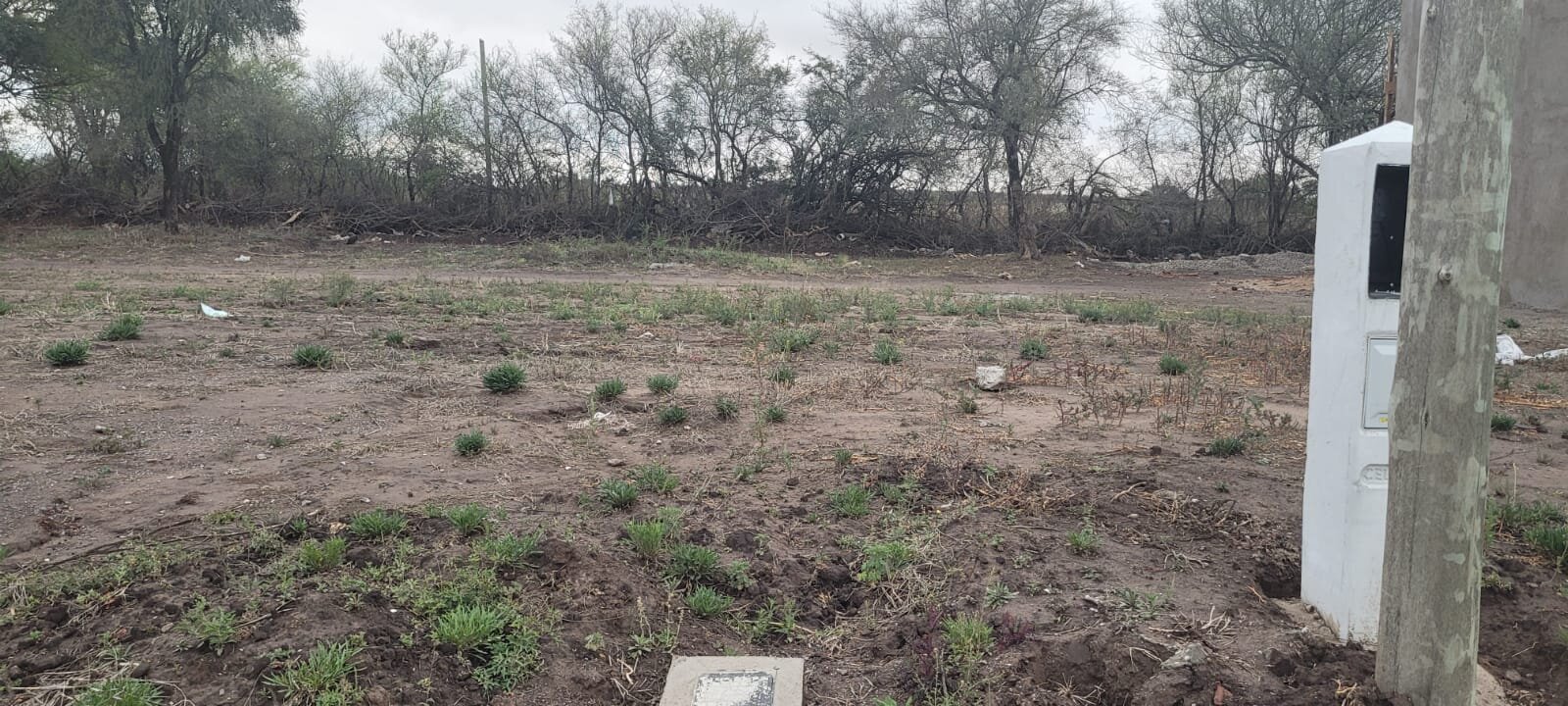 LIQUIDO TERRENO DOCTA PARQUE MALAGUEÑO — foto 5