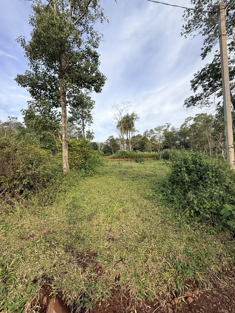 Loteo 100% financiado a orillas del Río Paraná, en Eldorado Misiones - 7
