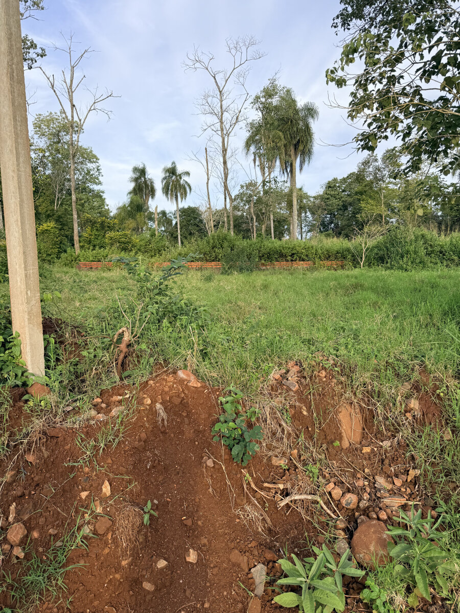 Loteo 100% financiado a orillas del Río Paraná, en Eldorado Misiones - 11