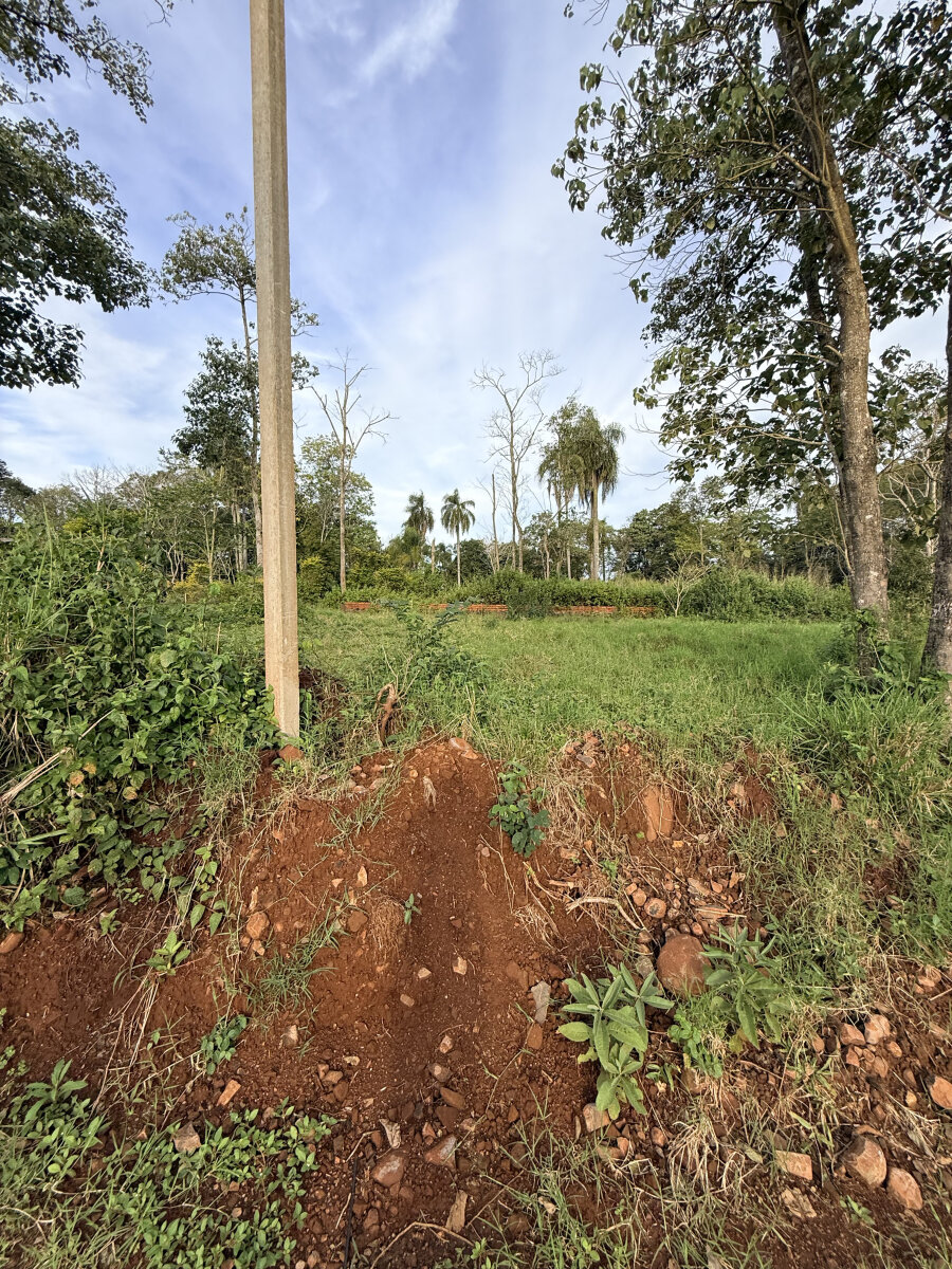 Loteo 100% financiado a orillas del Río Paraná, en Eldorado Misiones - 9