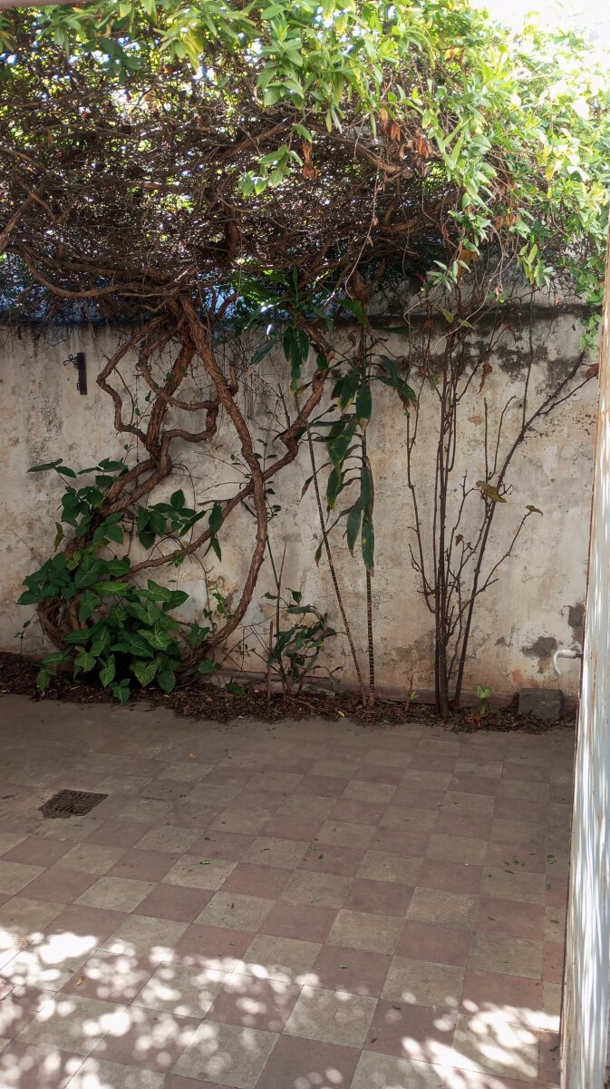 Oportunidad, casa en venta, 2 dormitorios, a 4 cuadras de Av Sabattini. Escritura - Imagen 17
