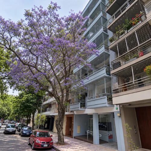 Departamento en Venta en Capital Federal, Capital Federal - USD 255.000 | Inmoup - 11
