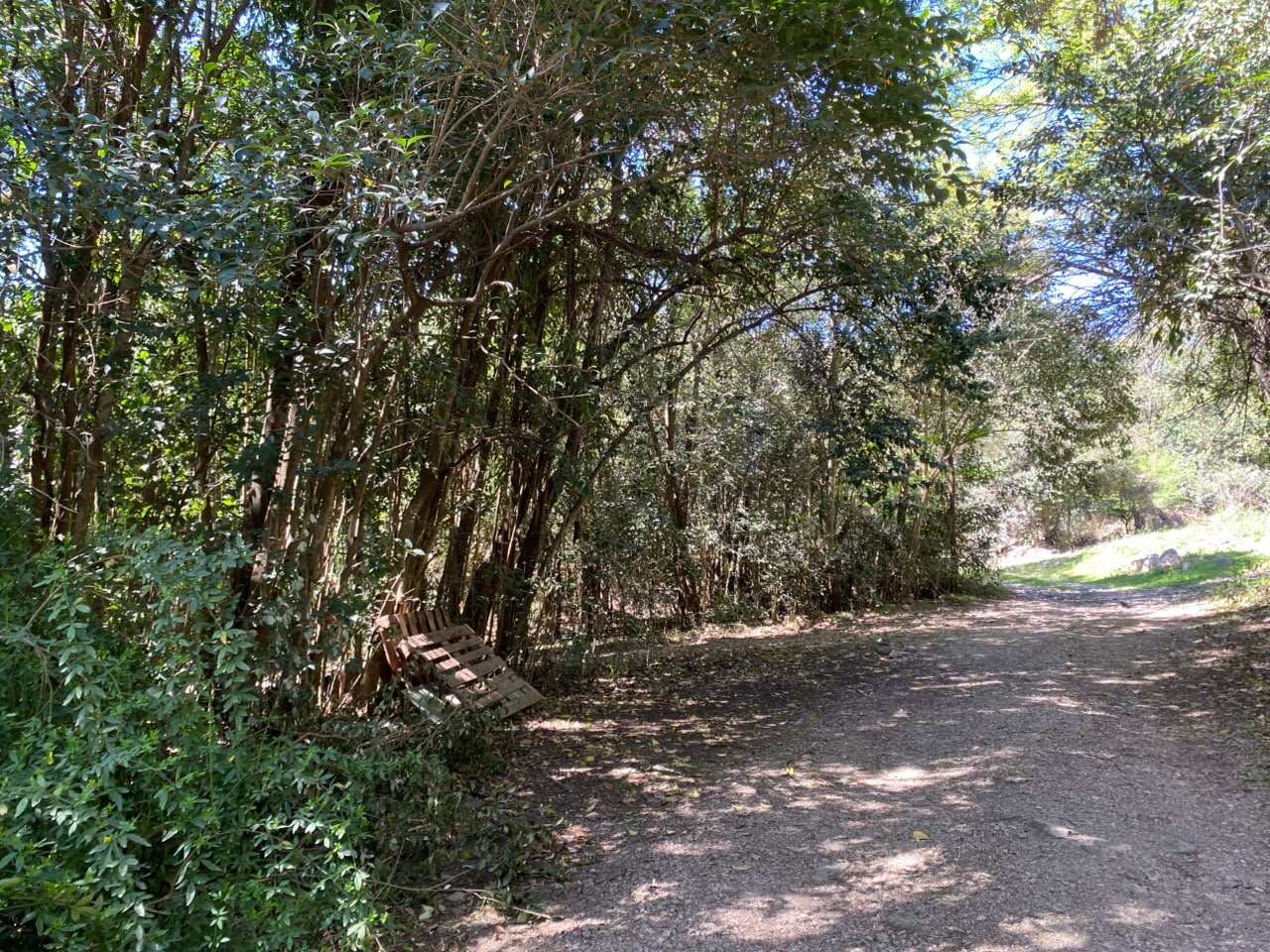 VENTA Lote en Salsipuedes una hectárea a un precio IMPERDIBLE! ACEPTA FINANCIACIÓN - Imagen 4