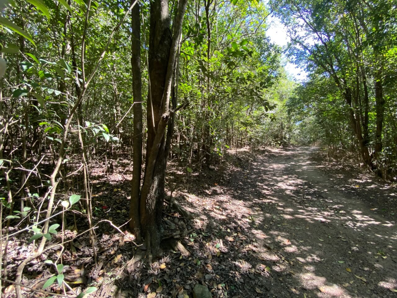 VENTA Lote en Salsipuedes una hectárea a un precio IMPERDIBLE! ACEPTA FINANCIACIÓN - Imagen 5
