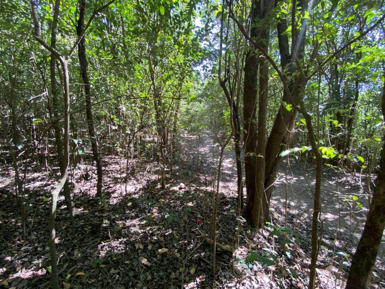 VENTA Lote en Salsipuedes una hectárea a un precio IMPERDIBLE! ACEPTA FINANCIACIÓN - Imagen 7