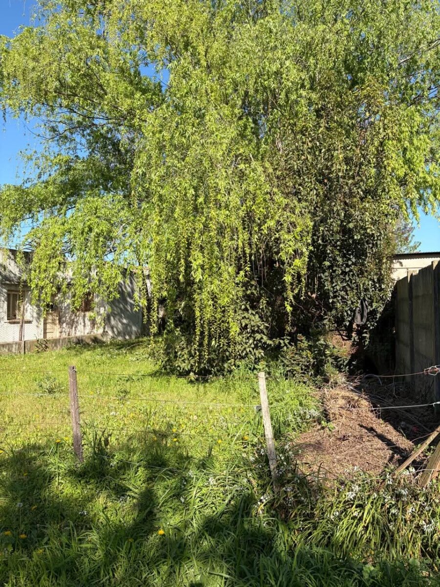Lote sobre calle Ascasubi - 3