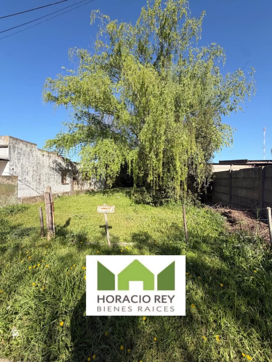 Lote sobre calle Ascasubi - 1