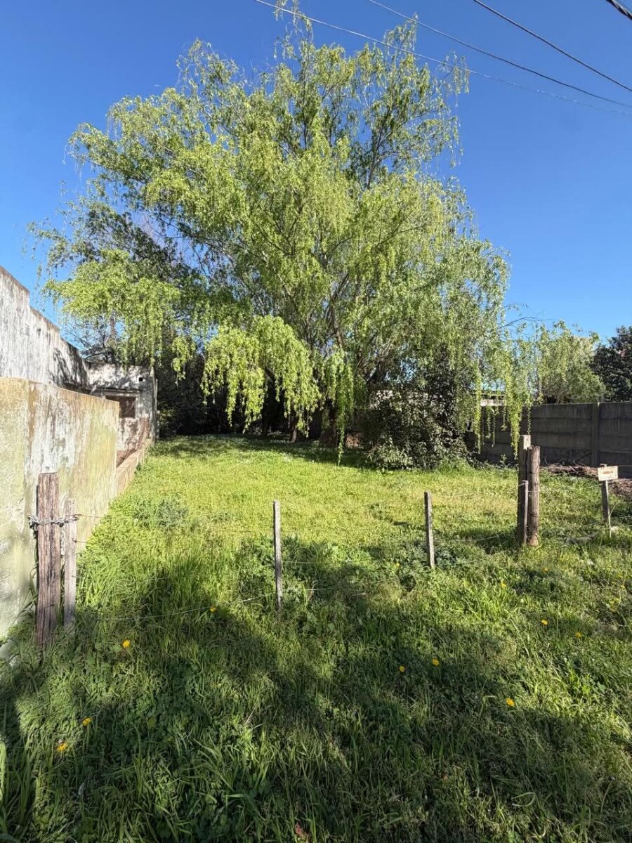 Lote sobre calle Ascasubi - 2
