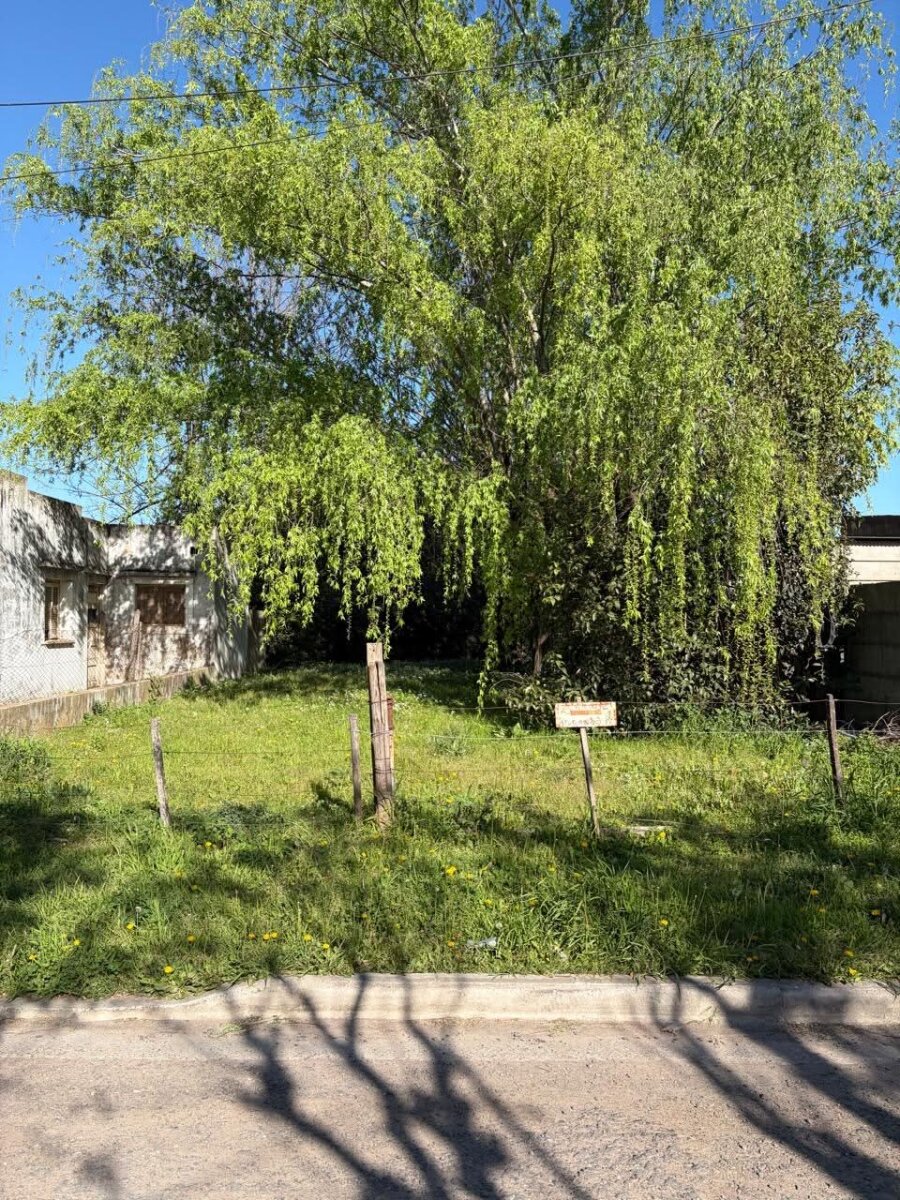 Lote sobre calle Ascasubi - 4