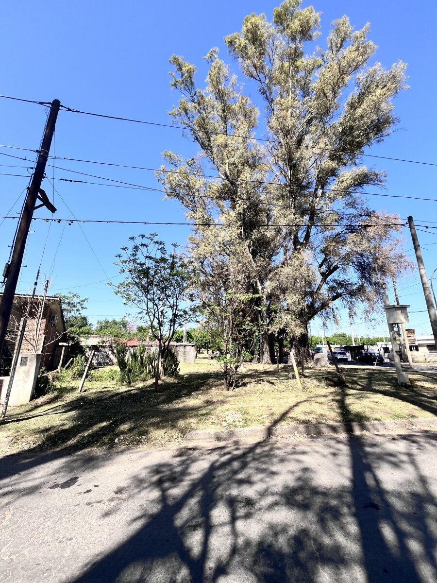 Lote en Venta Parque Vélez Sarsfield | 276 m² | Escritura | Potencial 2 Unidades - 5