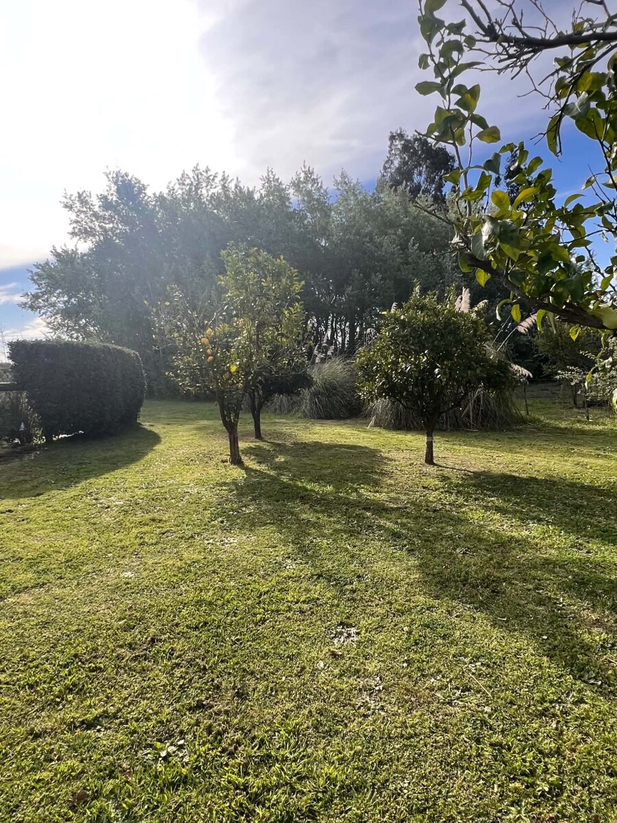 Propiedad ubicada en Benquerencia Farm Club - 390 - 38