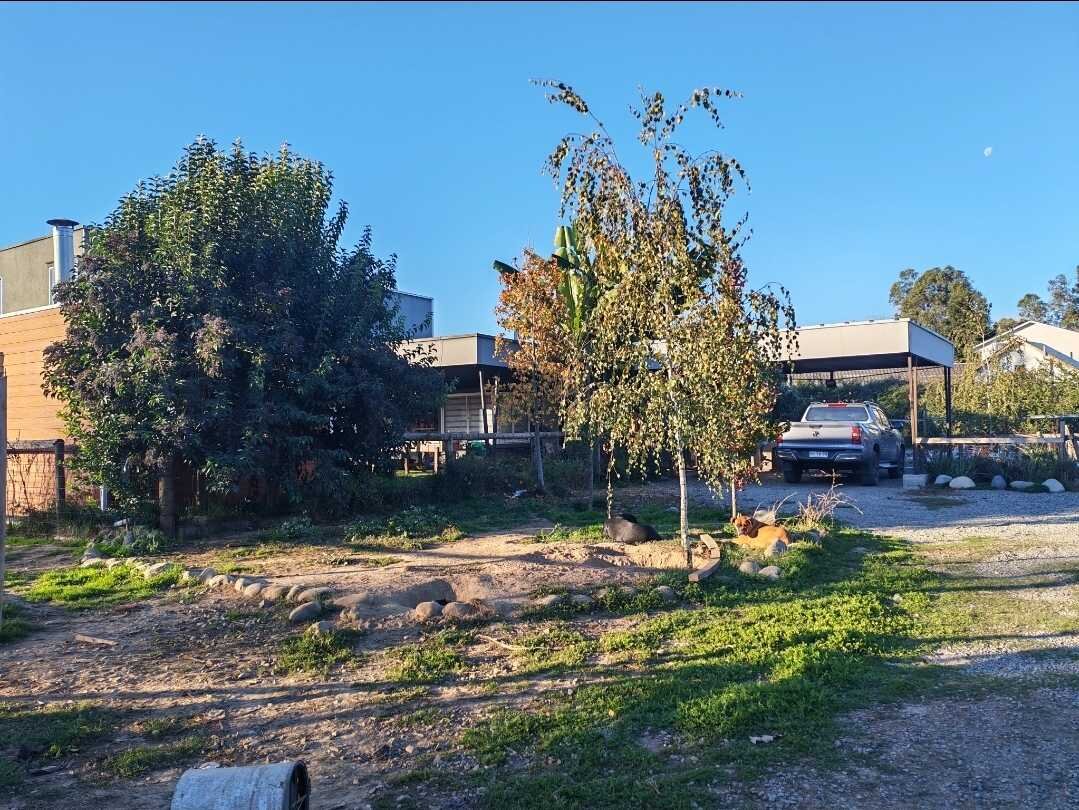 Foto 20