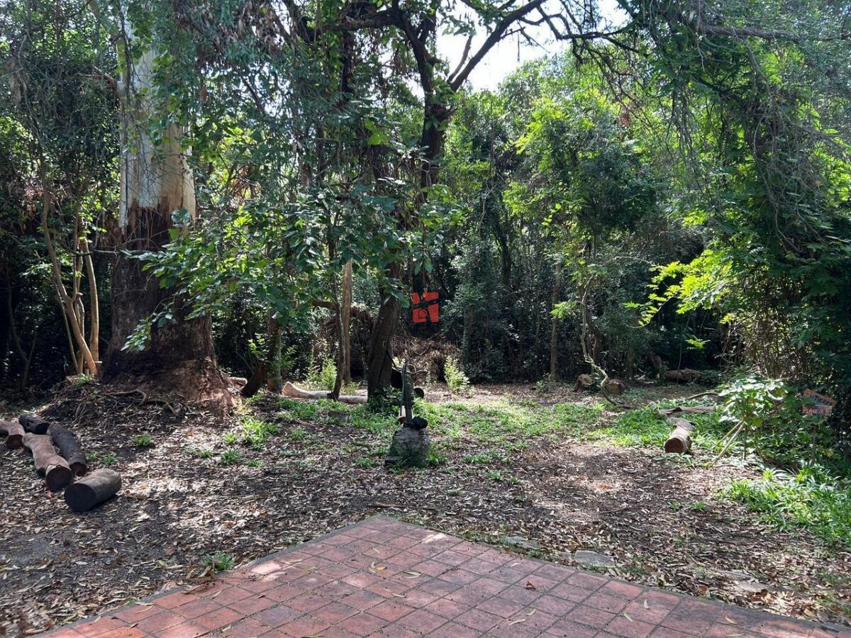 Venta Casa en Punta Indio de 4 ambientes con terreno de 3031m2. — foto 11