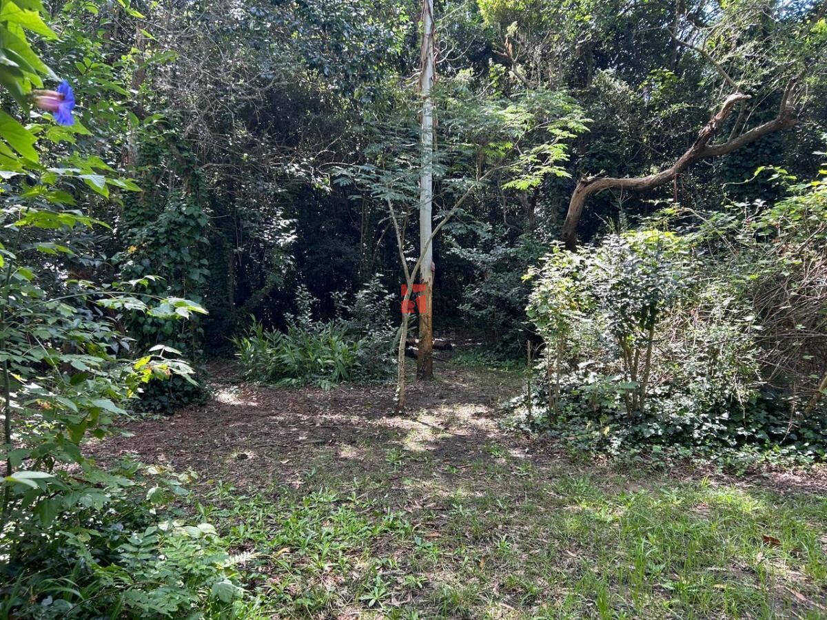 Venta Casa en Punta Indio de 4 ambientes con terreno de 3031m2. — foto 10
