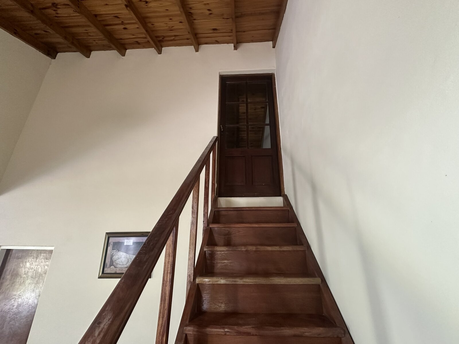 CASA QUINTA DE 2.680 M² CON PILETA – LOS OMBÚES, F. VARELA - 18