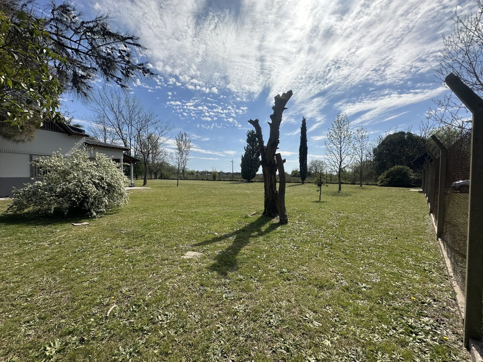 CASA QUINTA DE 2.680 M² CON PILETA – LOS OMBÚES, F. VARELA - 37
