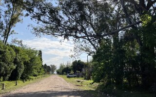 Terrenos - Alvarez - Venta