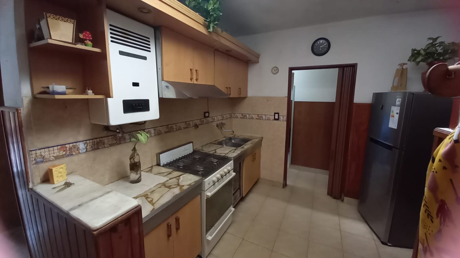 Venta Casa Mas Depto 3 Dormit. Liceo II Seccion - Imagen 39