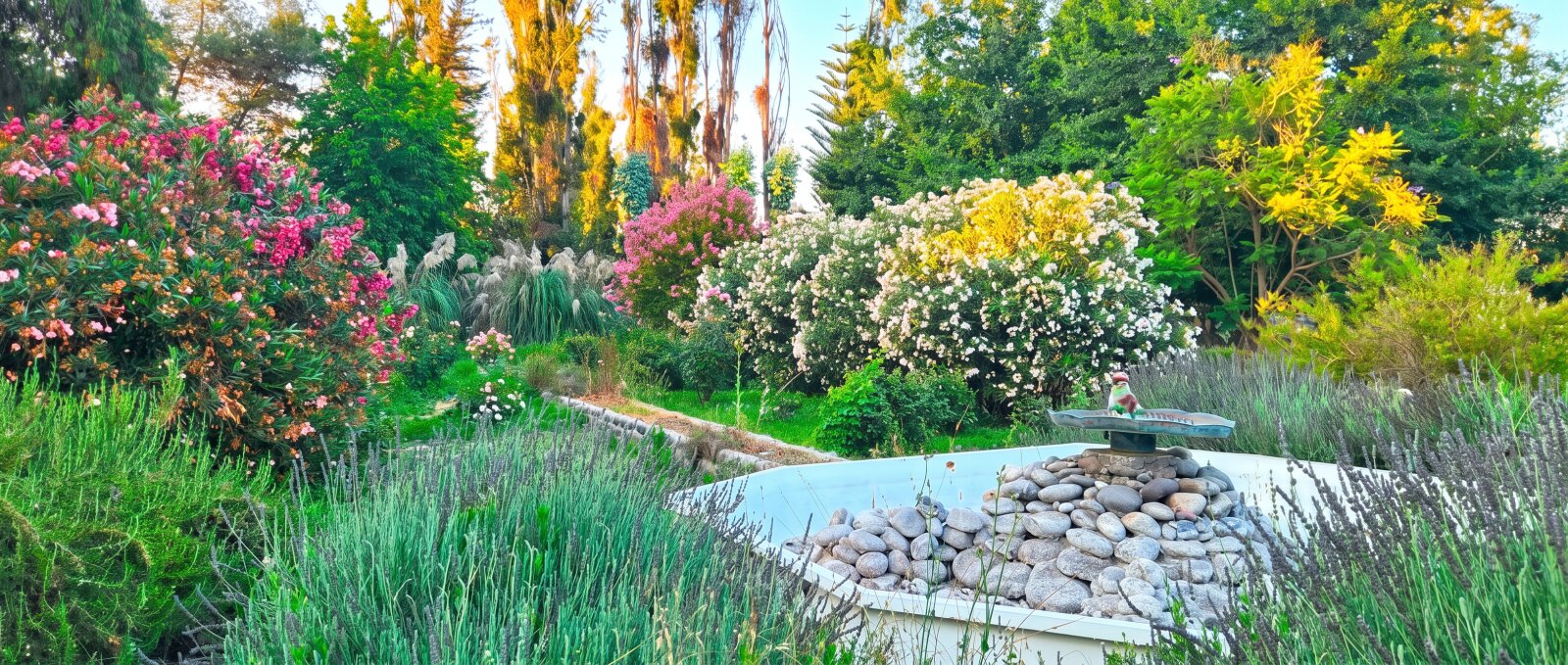 Foto 20