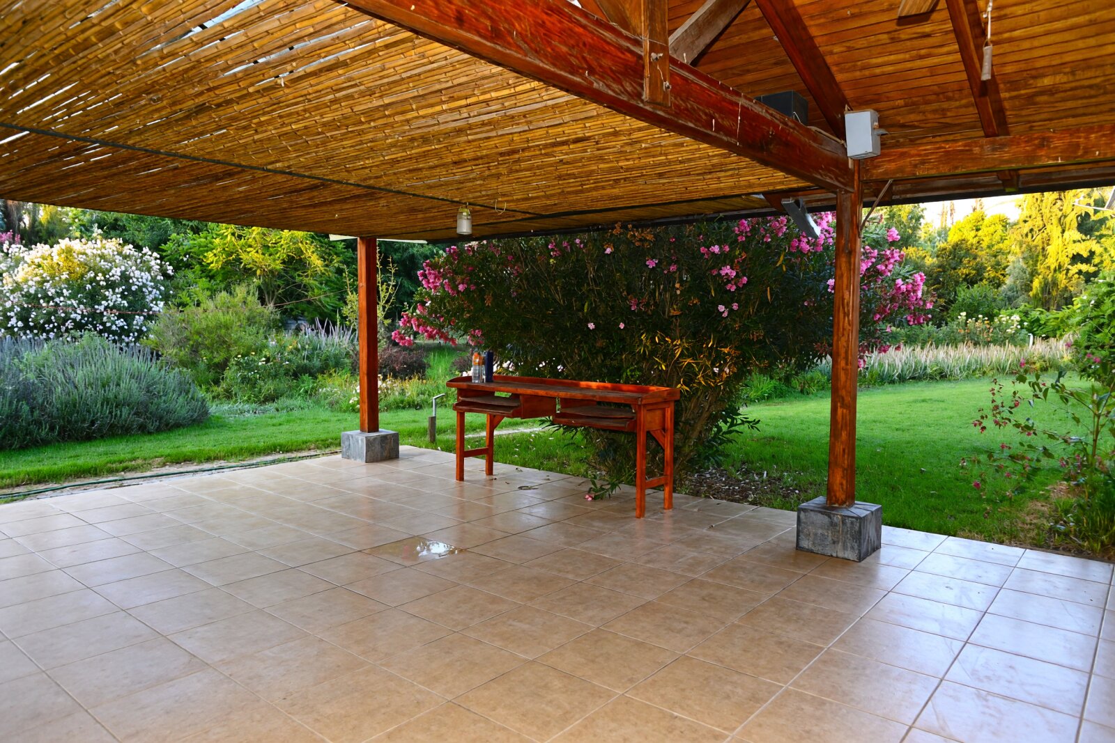 Foto 11