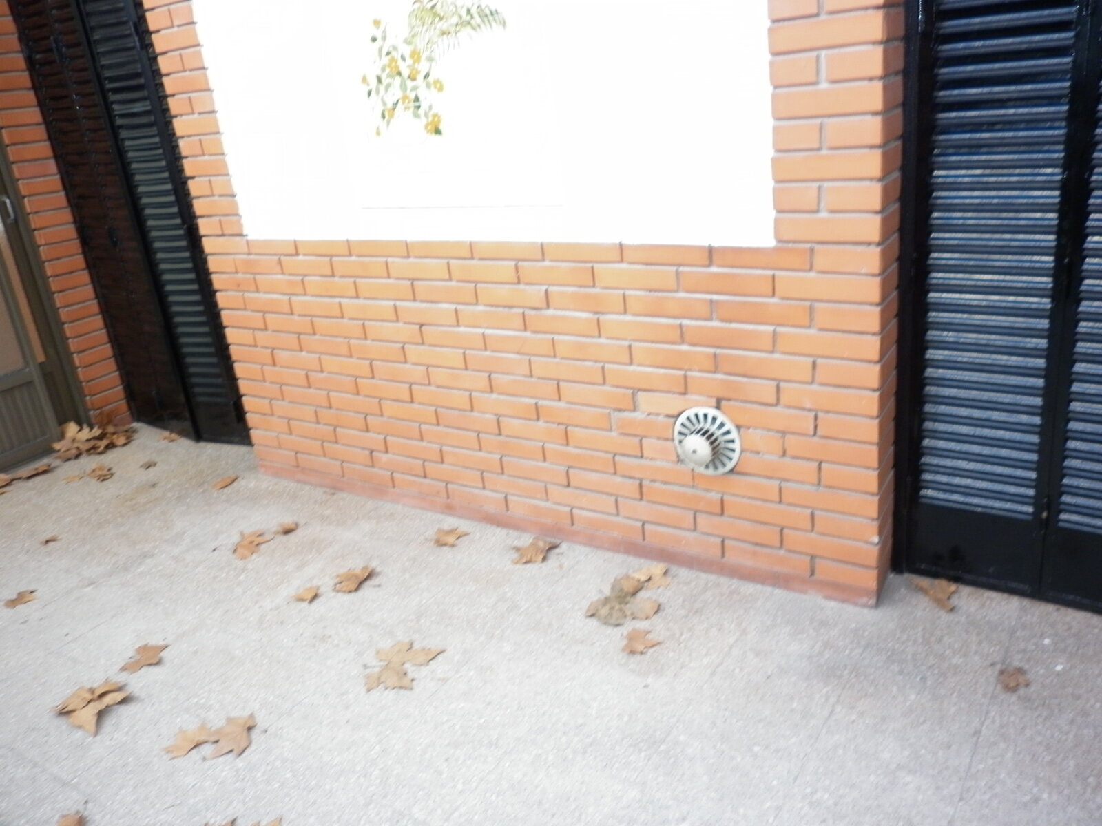 Casa 3dorm., 9 de Julio 3017 , Patio, cochera. - 44