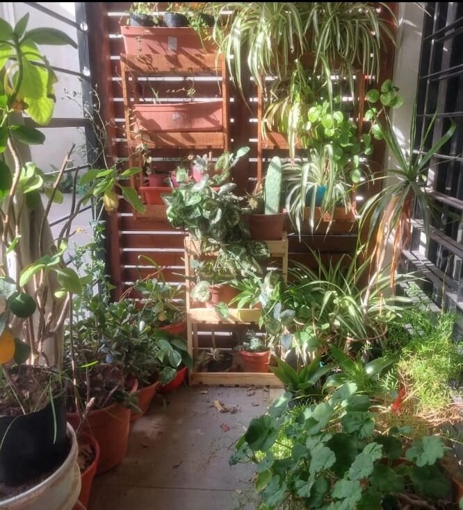 Se vende un departamento monoambiente con balcón - Parque Avellaneda — foto 2