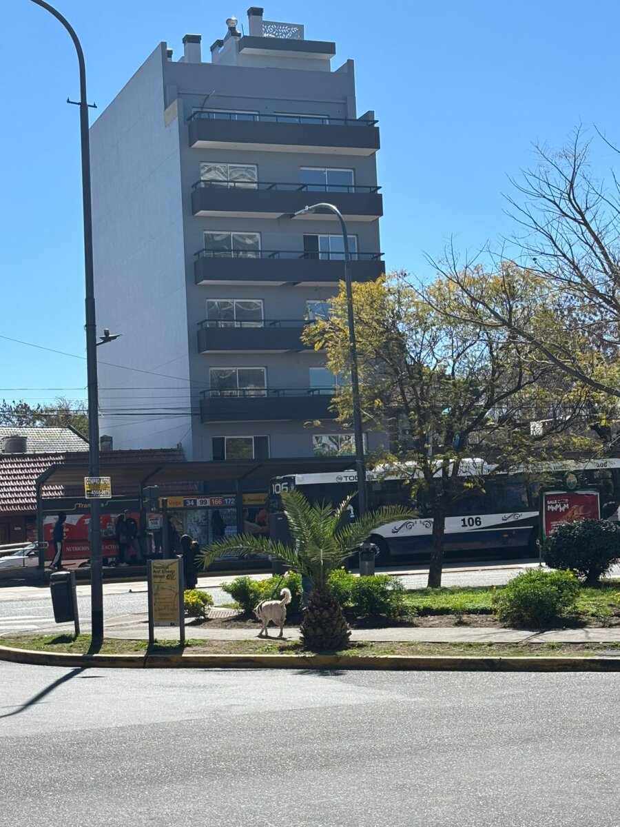 Lote - Velez Sarsfield — foto 3