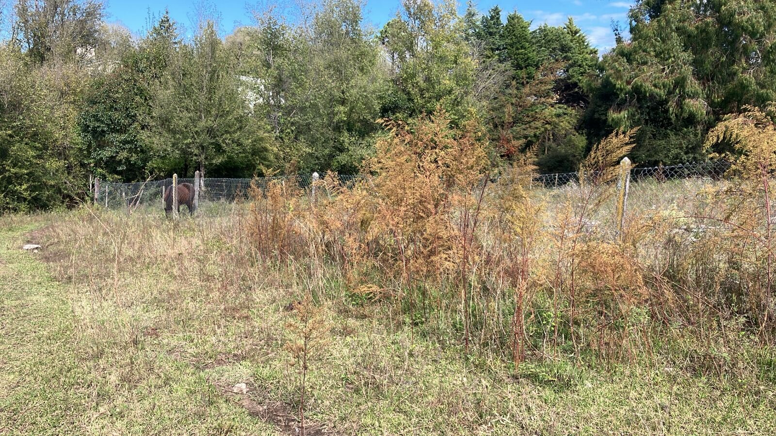 TERRENO POTRERO DE GARAY EN VENTA CON FONDO A UN ARROYO - Imagen 3
