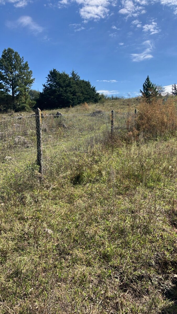TERRENO POTRERO DE GARAY EN VENTA CON FONDO A UN ARROYO - Imagen 4