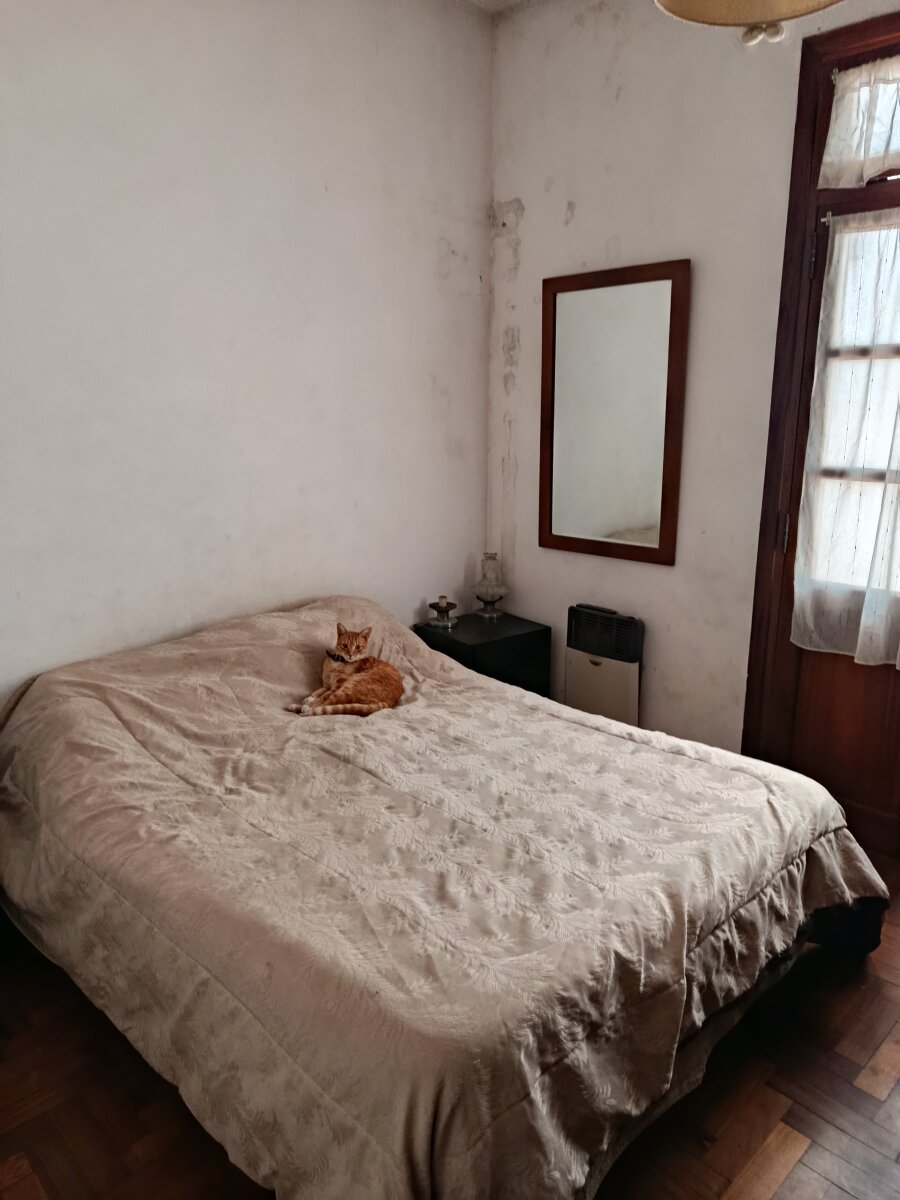 Casa 3 ambientes Lanus Este Lote de 594 m2 - 29