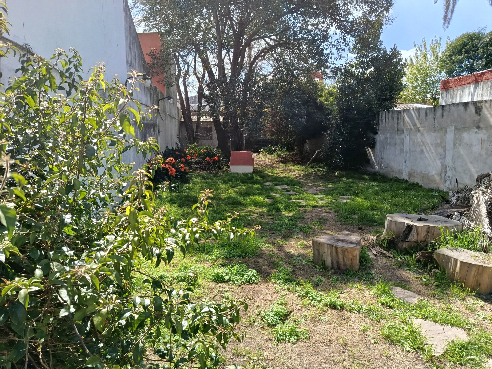 Casa 3 ambientes Lanus Este Lote de 594 m2 - 21