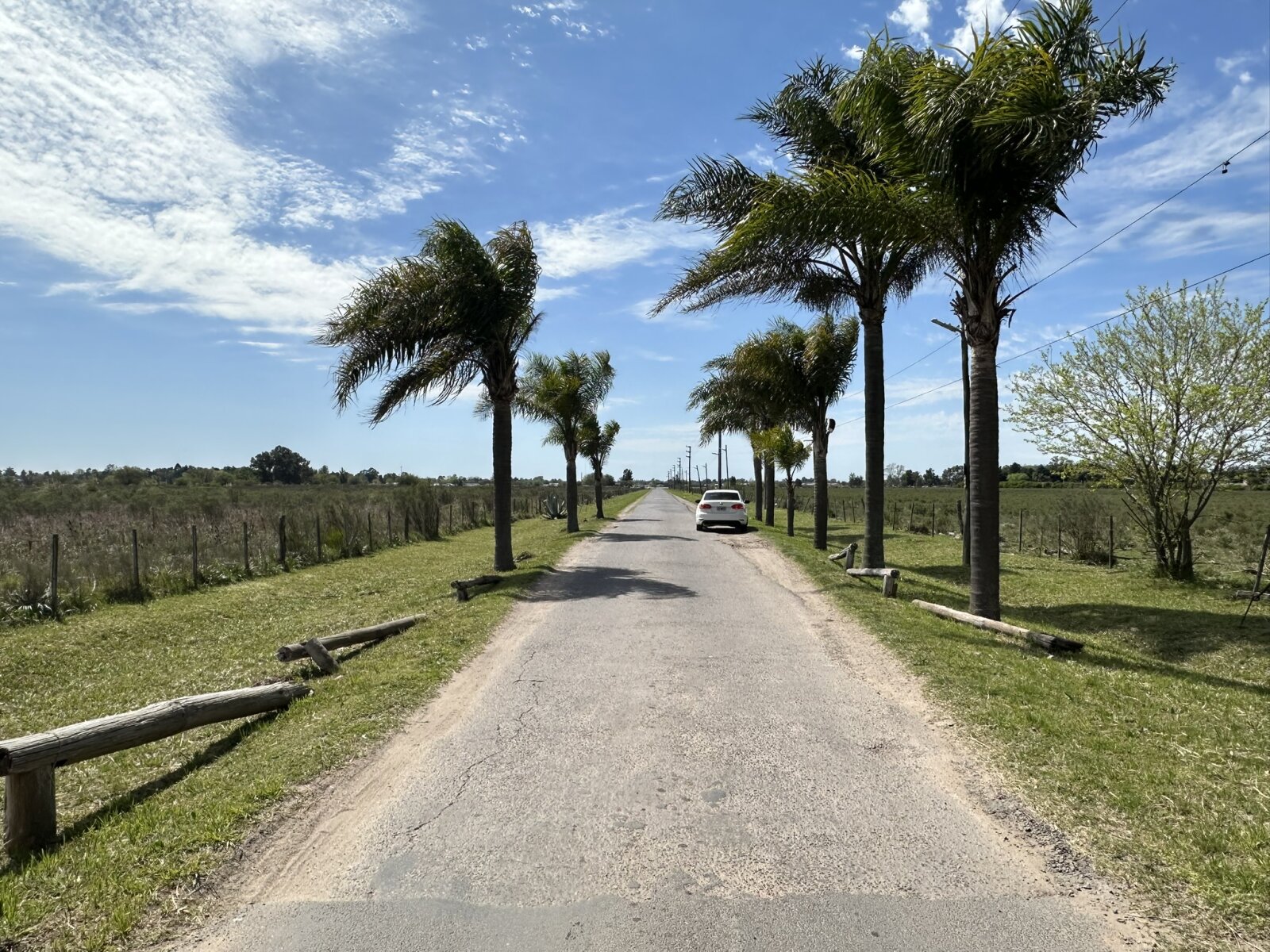 CASA QUINTA DE 1.594 M² CON PILETA Y QUINCHO – LOS OMBÚES, F. VARELA - 41