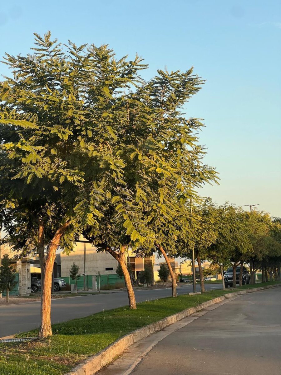 ORIGO NEGOCIOS INMOBILIARIOS VENDE TERRENO EN BARRIO PRIVADO LAS RETAMAS. - 7