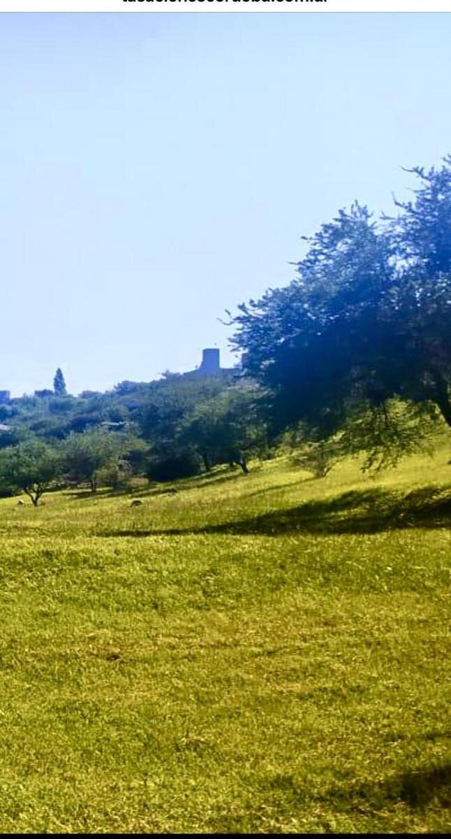 Lote Premium de 1127 m² Cumbres del Golf Villa Allende. Vistas y naturaleza - Imagen 4