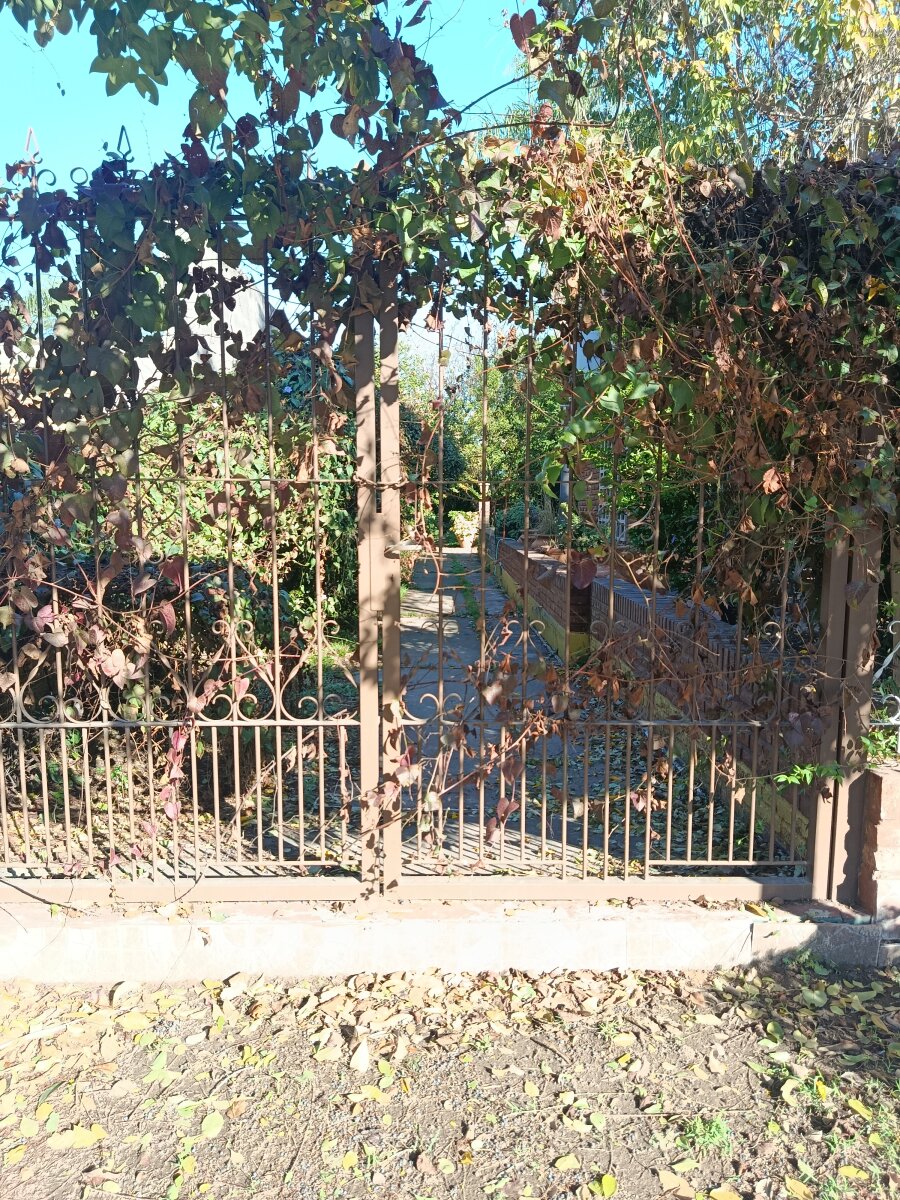 Excelente estado y hermoso jardín parquizado — foto 12