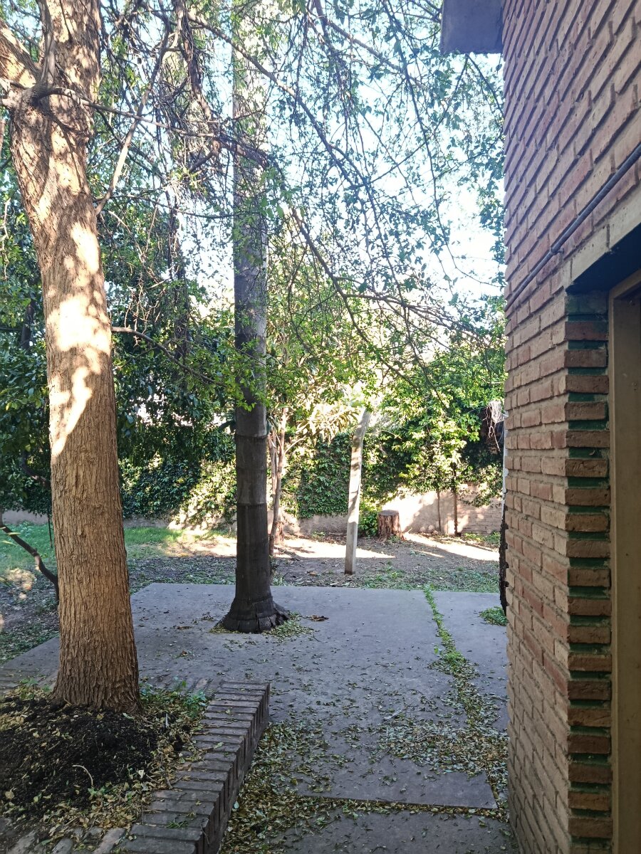 Excelente estado y hermoso jardín parquizado — foto 4