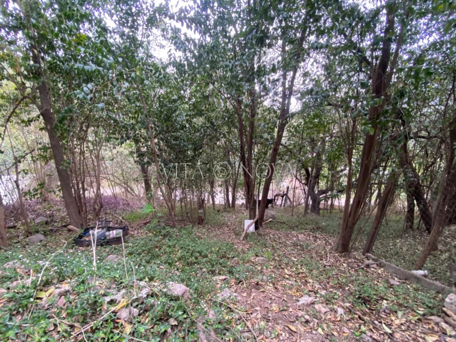 VENTA LOTE - B° ÑU PORÁ - Imagen 8