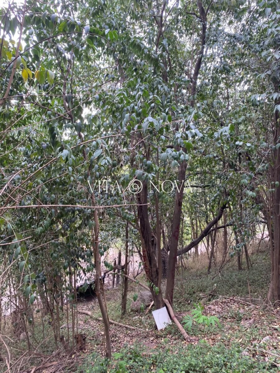 VENTA LOTE - B° ÑU PORÁ - Imagen 19