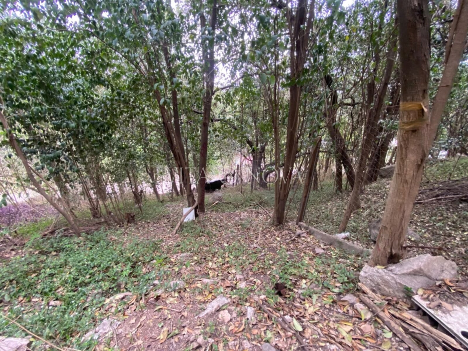 VENTA LOTE - B° ÑU PORÁ - Imagen 7
