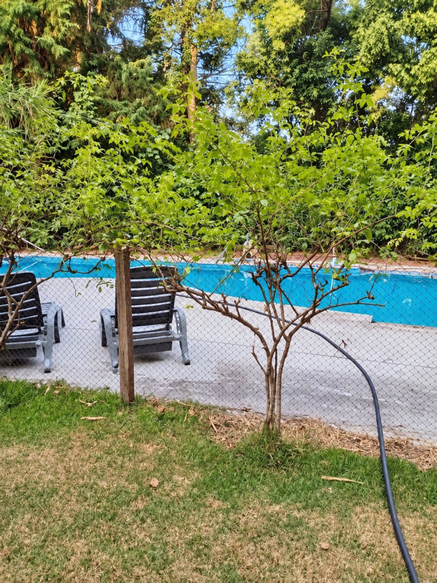 OPORTUNIDAD Casa en venta — foto 13