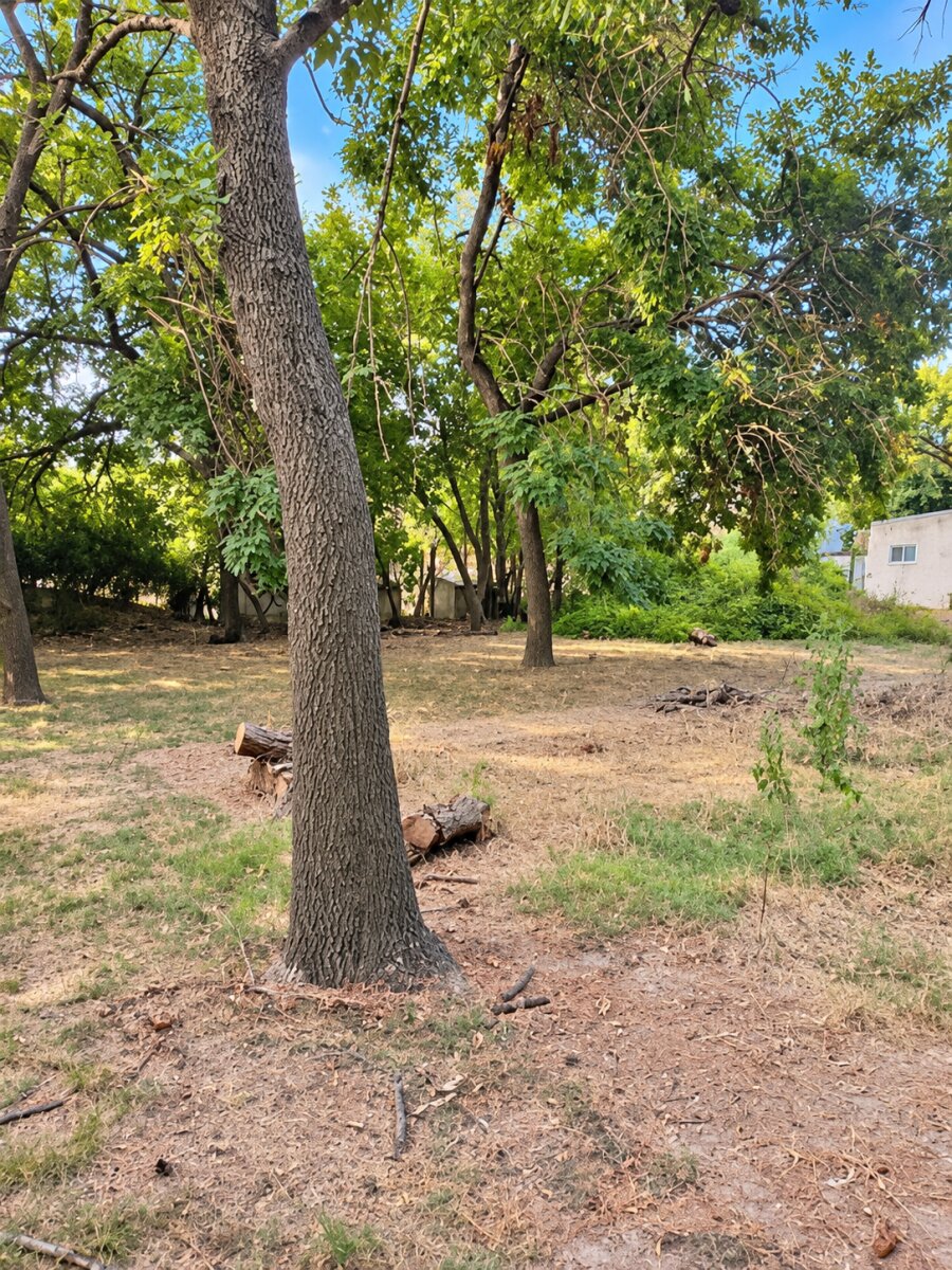 OPORTUNIDAD Casa en venta — foto 12