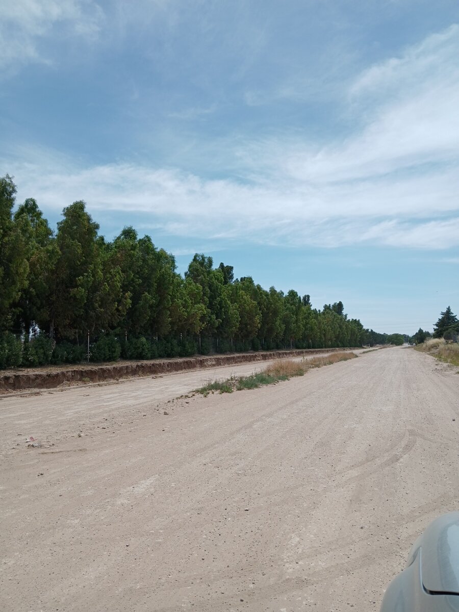 Lote Los Muñecos - Avenida Córdoba - 46