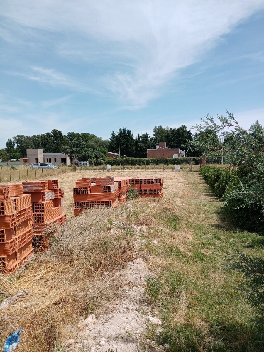 Lote Los Muñecos - Avenida Córdoba - 29