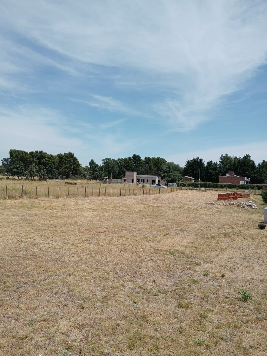 Lote Los Muñecos - Avenida Córdoba - 26