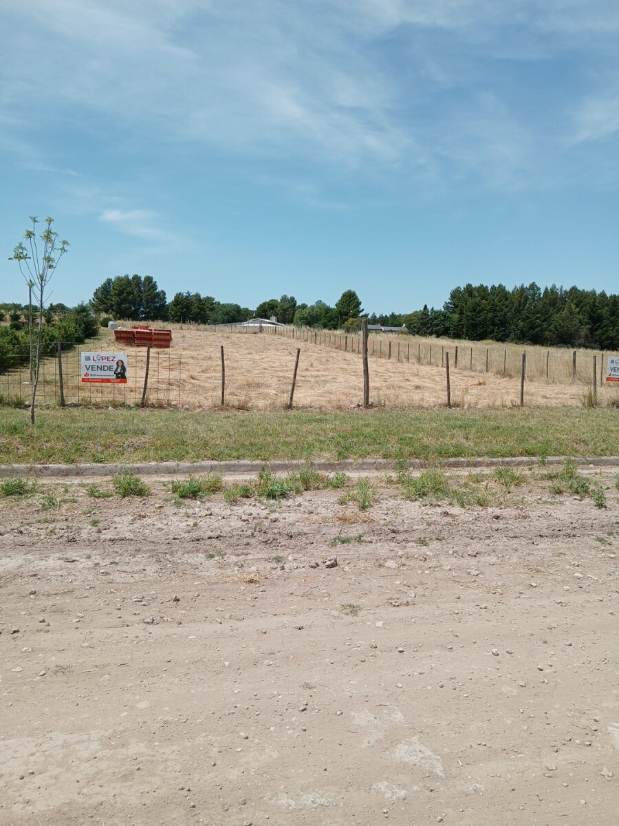 Lote Los Muñecos - Avenida Córdoba - 42