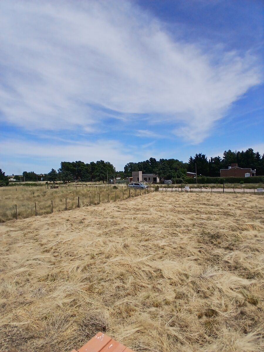 Lote Los Muñecos - Avenida Córdoba - 16