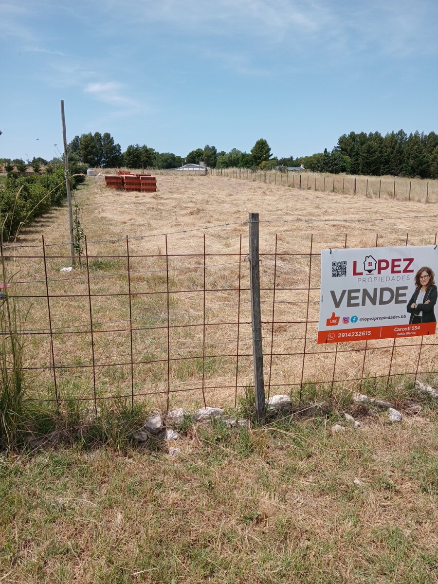 Lote Los Muñecos - Avenida Córdoba - 32