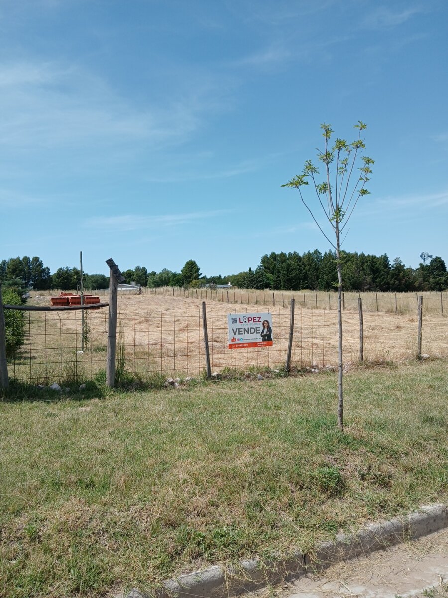 Lote Los Muñecos - Avenida Córdoba - 22