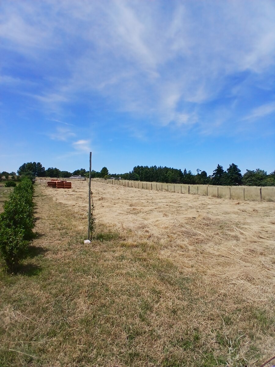 Lote Los Muñecos - Avenida Córdoba - 3