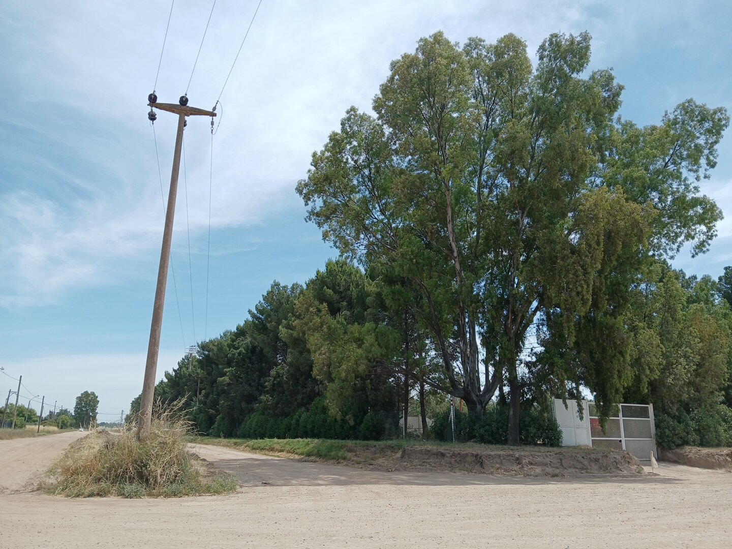 Lote Los Muñecos - Avenida Córdoba - 45